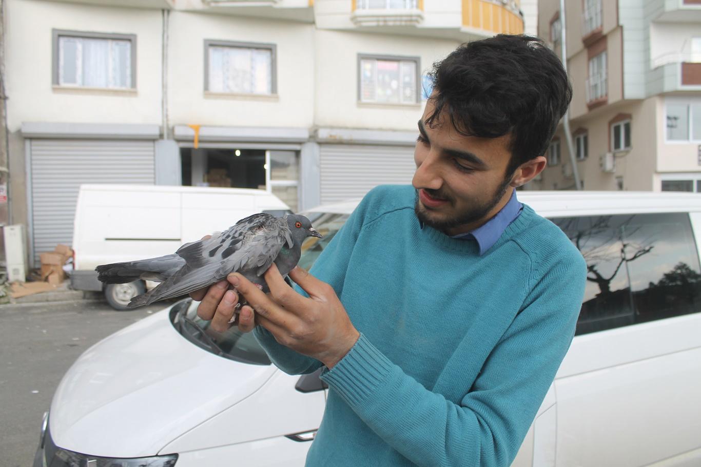 Duyarlı vatandaş aracın motoruna giren yaralı güvercini tedavi ettirdi